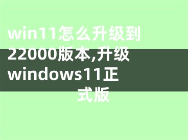 win11怎么升级到22000版本,升级windows11正式版