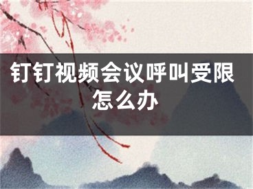 钉钉视频会议呼叫受限怎么办