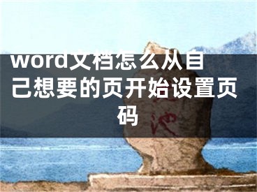 word文档怎么从自己想要的页开始设置页码