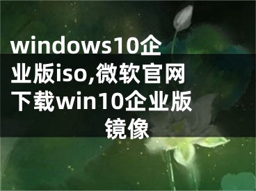 windows10企业版iso,微软官网下载win10企业版镜像