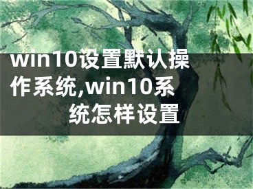 win10设置默认操作系统,win10系统怎样设置