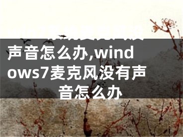 win7系统麦克风没声音怎么办,windows7麦克风没有声音怎么办