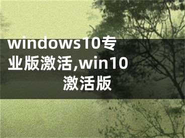 windows10专业版激活,win10 激活版 