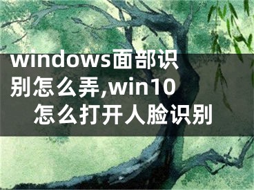 windows面部识别怎么弄,win10怎么打开人脸识别