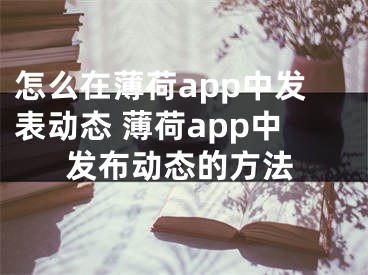 怎么在薄荷app中发表动态 薄荷app中发布动态的方法