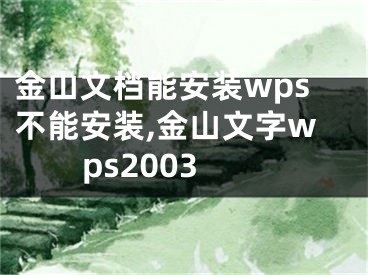 金山文档能安装wps不能安装,金山文字wps2003