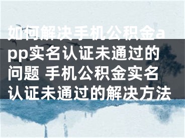 如何解决手机公积金app实名认证未通过的问题 手机公积金实名认证未通过的解决方法