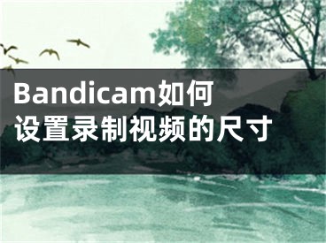 Bandicam如何设置录制视频的尺寸 