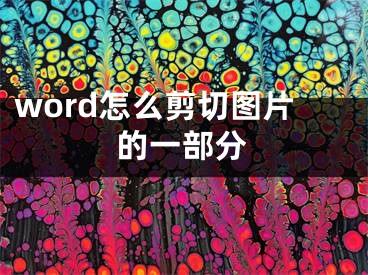 word怎么剪切图片的一部分