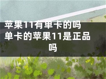 苹果11有单卡的吗 单卡的苹果11是正品吗