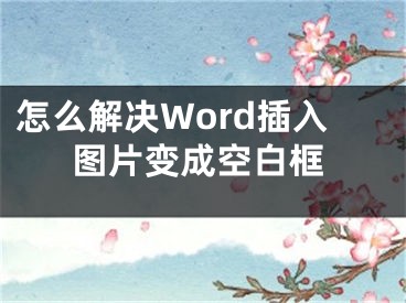 怎么解决Word插入图片变成空白框 