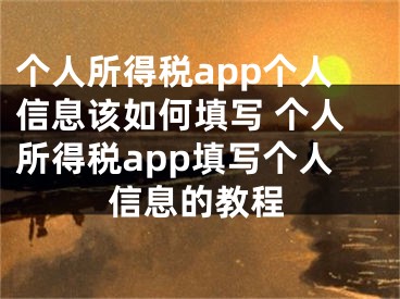 个人所得税app个人信息该如何填写 个人所得税app填写个人信息的教程