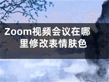 Zoom视频会议在哪里修改表情肤色