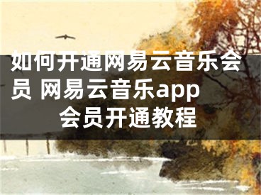 如何开通网易云音乐会员 网易云音乐app会员开通教程