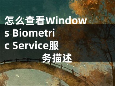 怎么查看Windows Biometric Service服务描述