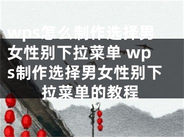 wps怎么制作选择男女性别下拉菜单 wps制作选择男女性别下拉菜单的教程