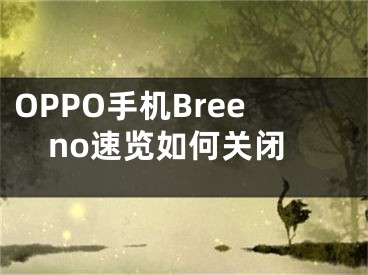 OPPO手机Breeno速览如何关闭