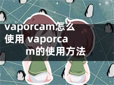 vaporcam怎么使用 vaporcam的使用方法