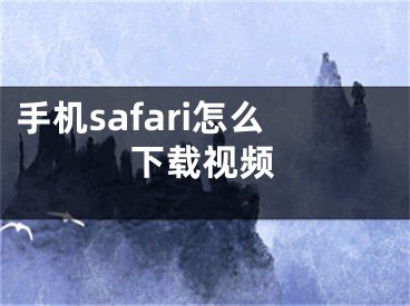 手机safari怎么下载视频