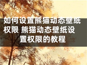 如何设置熊猫动态壁纸权限 熊猫动态壁纸设置权限的教程