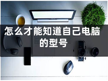 怎么才能知道自己电脑的型号