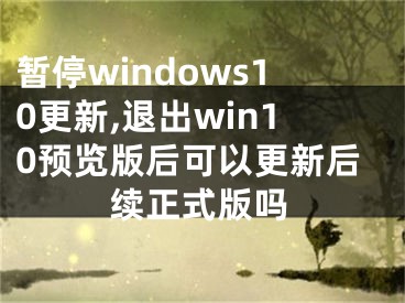 暂停windows10更新,退出win10预览版后可以更新后续正式版吗