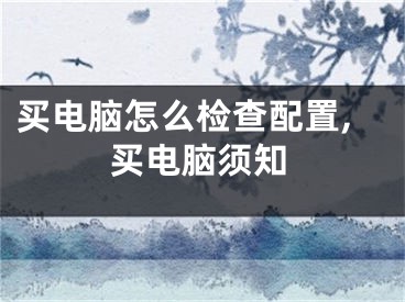 买电脑怎么检查配置,买电脑须知