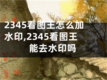 2345看图王怎么加水印,2345看图王能去水印吗