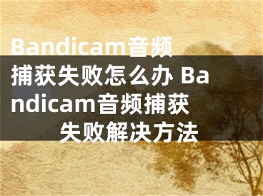 Bandicam音频捕获失败怎么办 Bandicam音频捕获失败解决方法