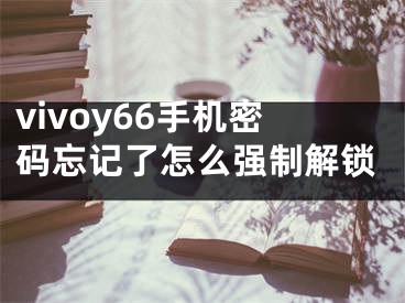 vivoy66手机密码忘记了怎么强制解锁