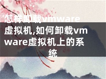 怎样卸载vmware虚拟机,如何卸载vmware虚拟机上的系统