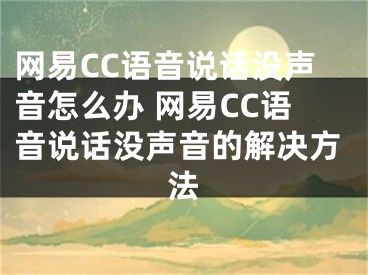 网易CC语音说话没声音怎么办 网易CC语音说话没声音的解决方法