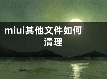 miui其他文件如何清理