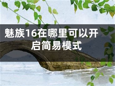 魅族16在哪里可以开启简易模式