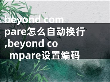 beyond compare怎么自动换行,beyond compare设置编码