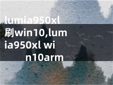 lumia950xl刷win10,lumia950xl win10arm