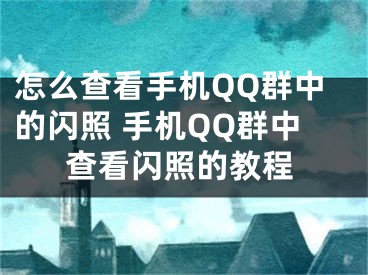 怎么查看手机QQ群中的闪照 手机QQ群中查看闪照的教程