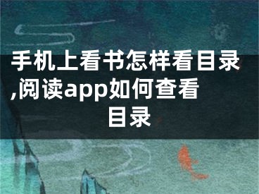 手机上看书怎样看目录,阅读app如何查看目录