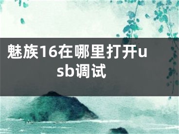 魅族16在哪里打开usb调试