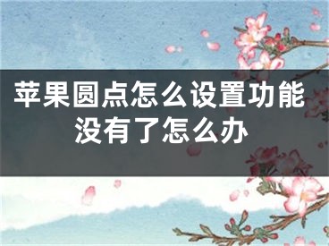 苹果圆点怎么设置功能没有了怎么办