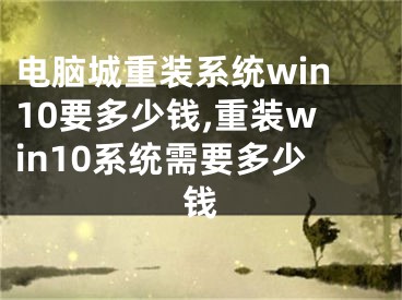 电脑城重装系统win10要多少钱,重装win10系统需要多少钱