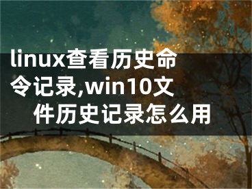 linux查看历史命令记录,win10文件历史记录怎么用