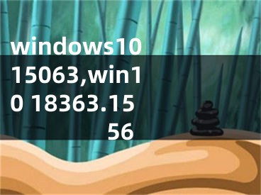 windows10 15063,win10 18363.1556
