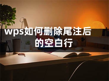 wps如何删除尾注后的空白行