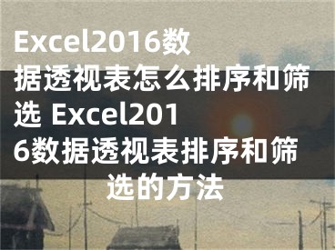 Excel2016数据透视表怎么排序和筛选 Excel2016数据透视表排序和筛选的方法