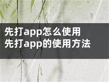 先打app怎么使用 先打app的使用方法