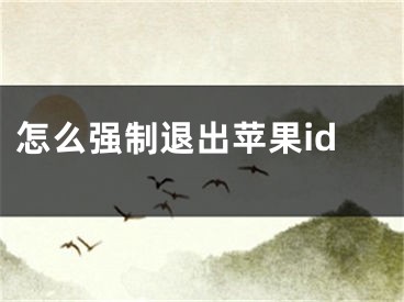 怎么强制退出苹果id