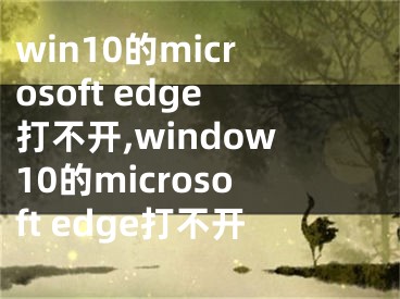 win10的microsoft edge打不开,window10的microsoft edge打不开