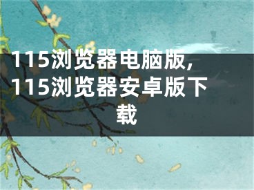 115浏览器电脑版,115浏览器安卓版下载