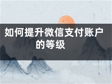 如何提升微信支付账户的等级 